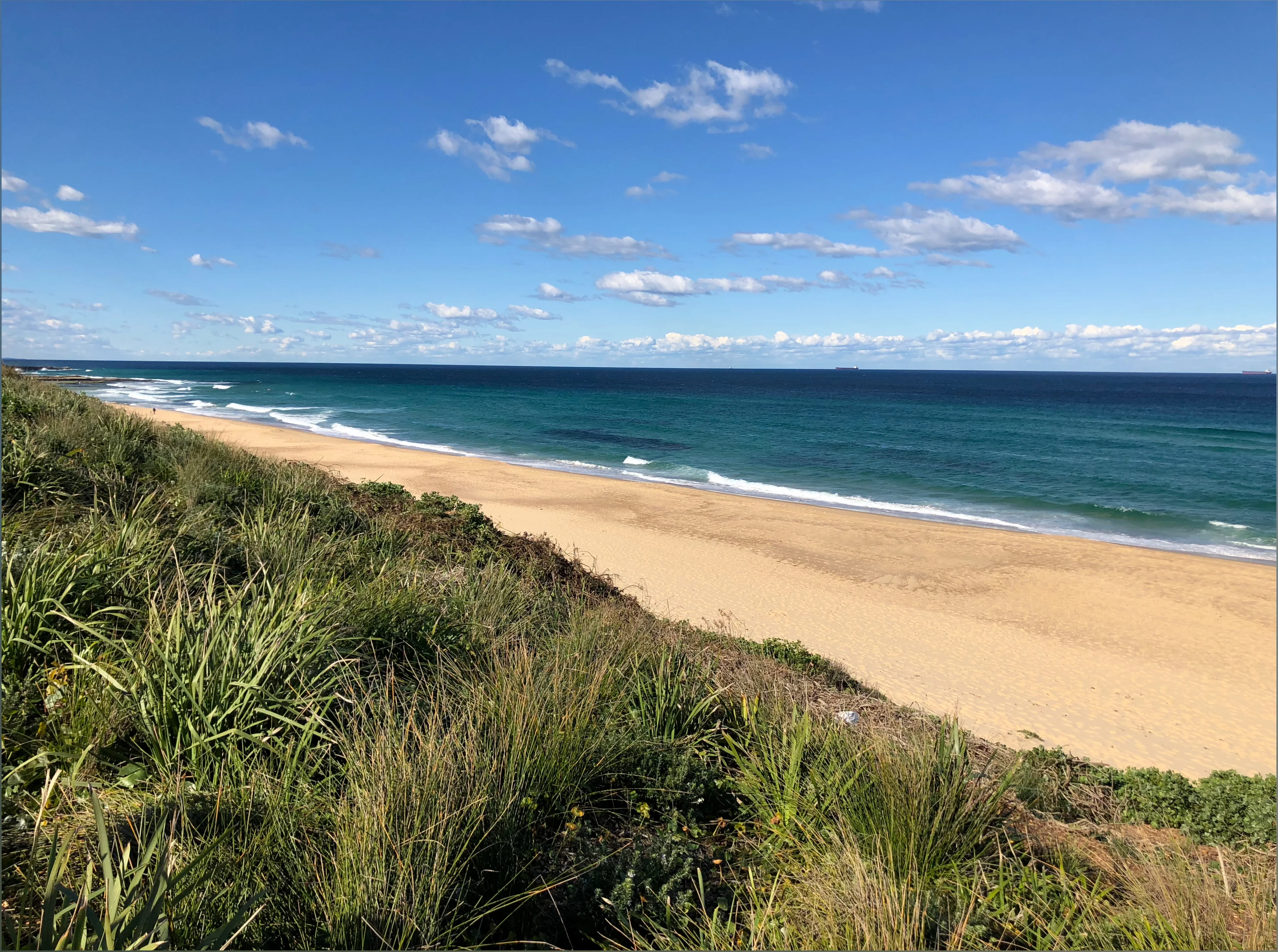 Brad 🇦🇺 - Content Creator